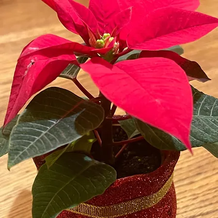 Fabulous Canal View *